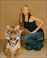 tigre vs la belle